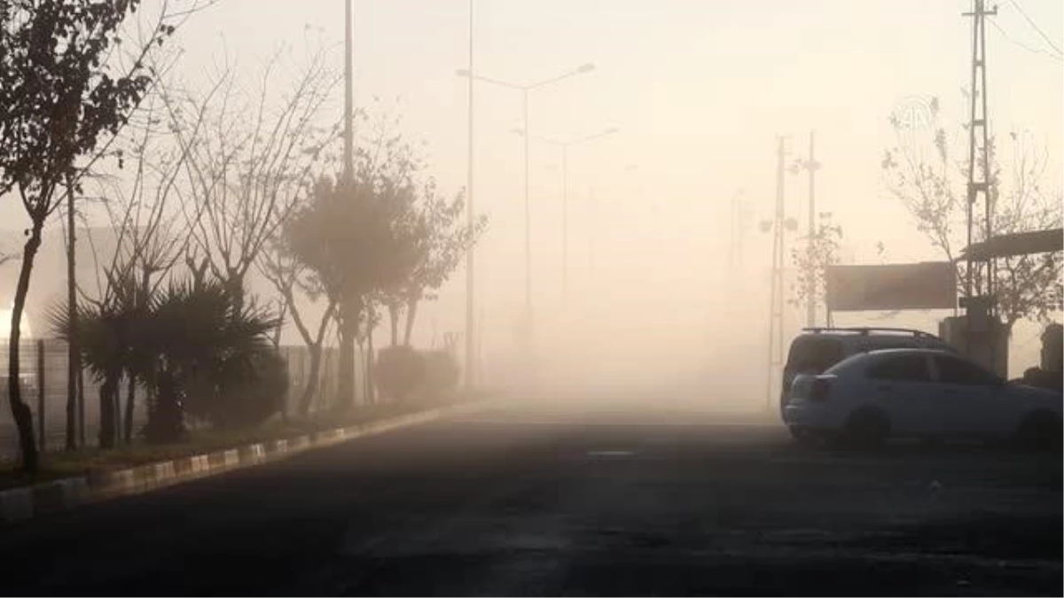 Yoğun sis