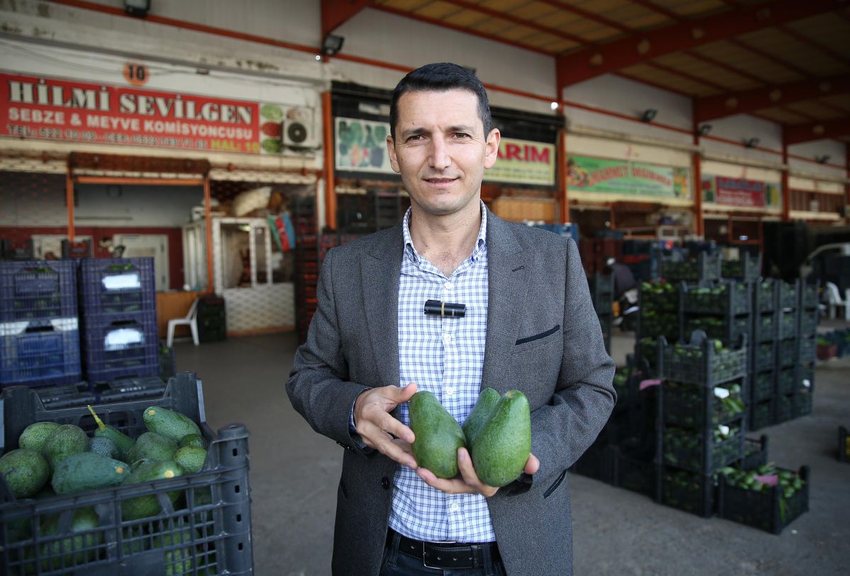 Avokado üreticilerinin hedefi üretimi artırarak ithalatın önüne geçmek