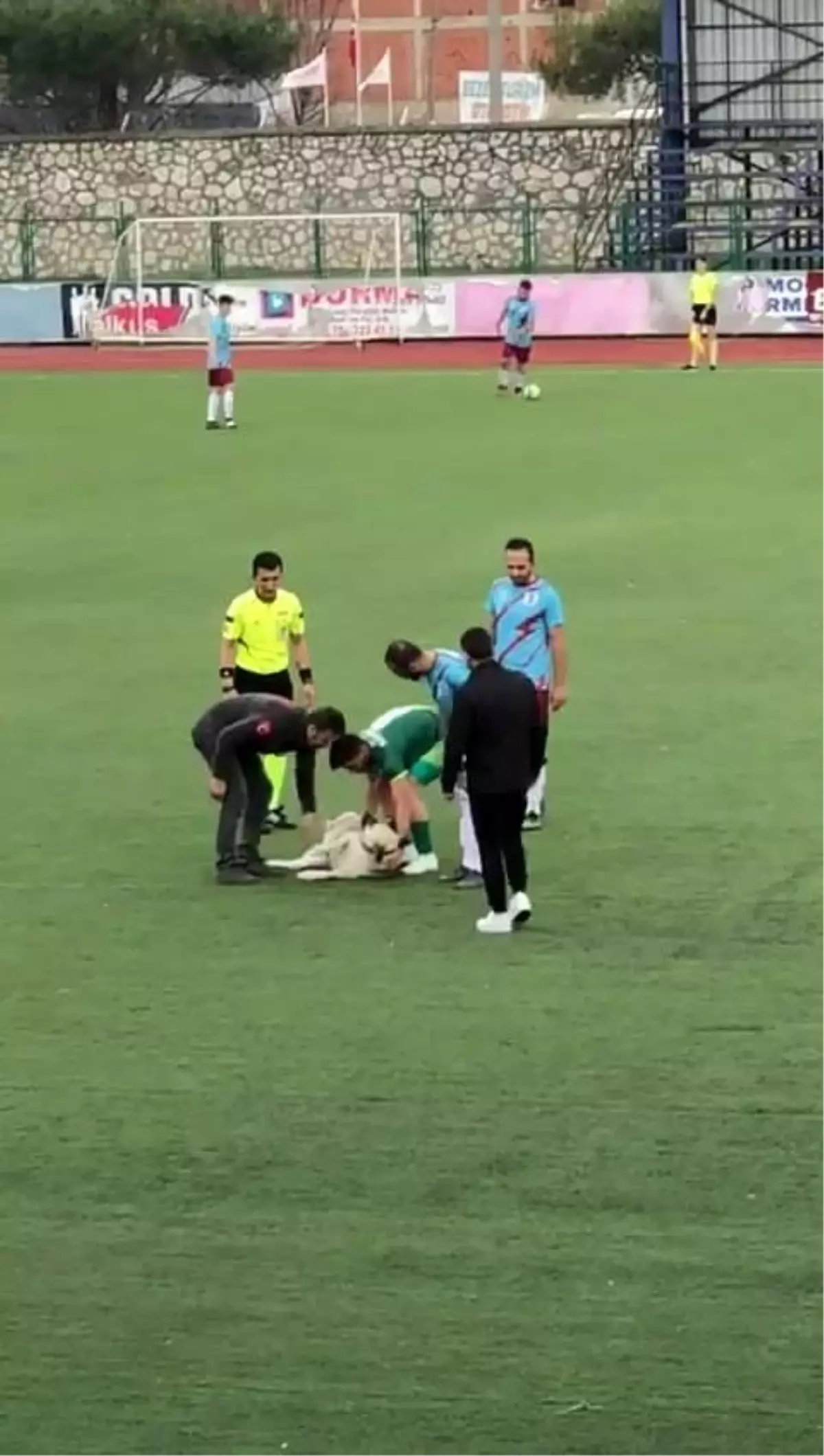 Bursa'da nefes kesen mücadeleye 'köpek' molası