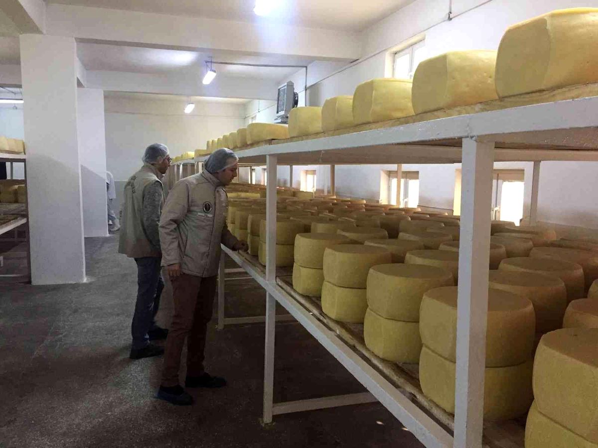 Kars\'ta 3 bin 531 işletme denetlendi