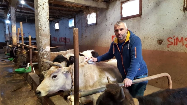 Köy muhtarı köye dönüş yapanlara inek desteğinde bulundu