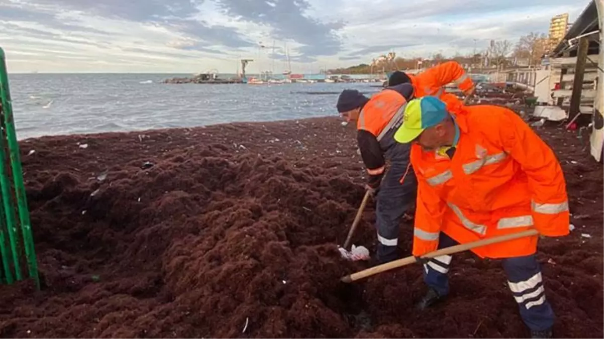 Fırtına, sahili kızıla boyadı! Vatandaştan ilginç tespit: Marmara Denizi kusuyor sandım!