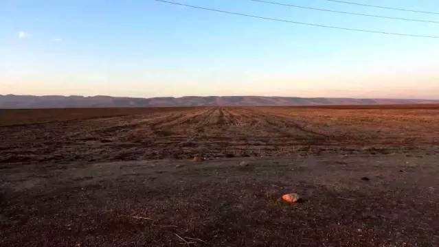 Mardin'de ağır petrol keşfedildi