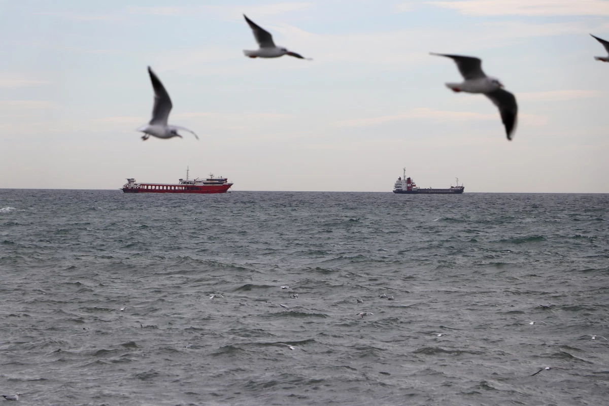 Marmara Denizi\'nde lodos etkisini sürdürüyor