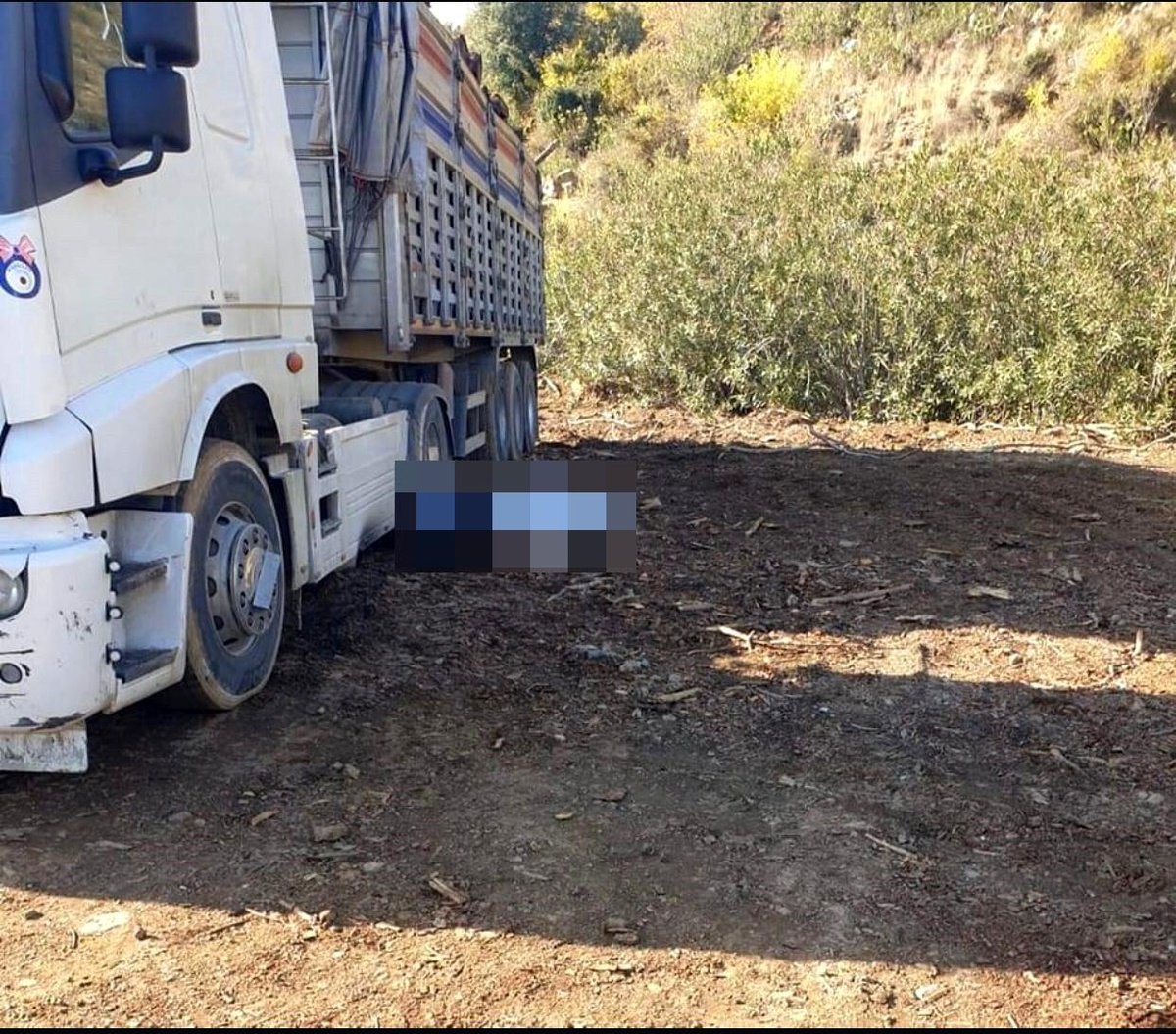 Odun yüklerken kamyondan düşerek hayatını kaybetti