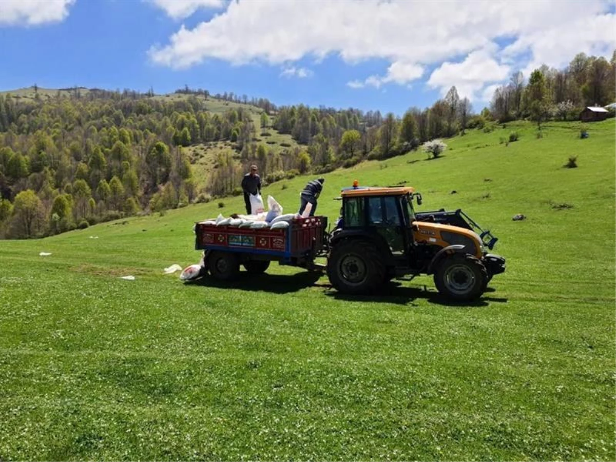 Ordu\'da mera alanları ıslah ediliyor