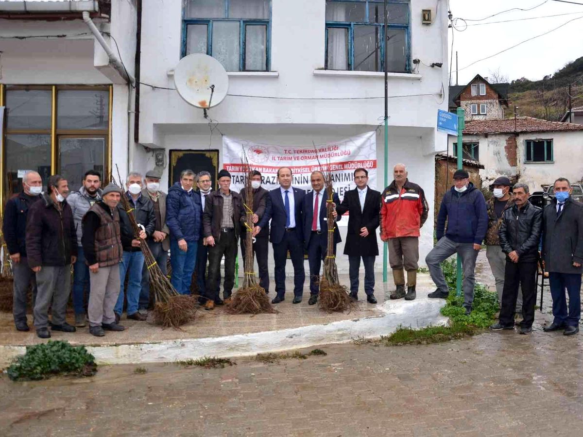Tekirdağ\'da 700 kestane fidanı dağıtıldı