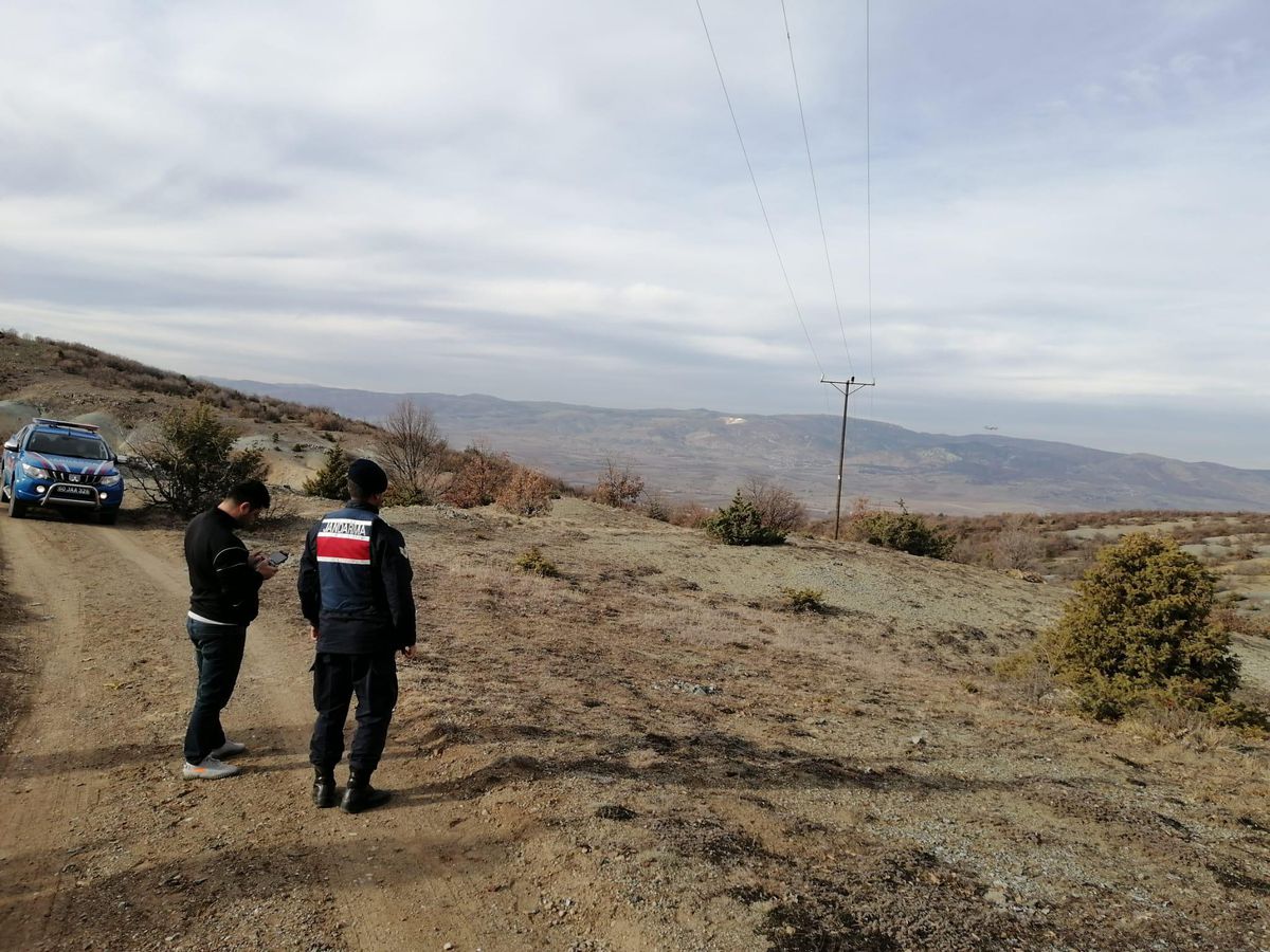 Tokat'ta kurt saldırısı sonucu 17 koyun telef oldu