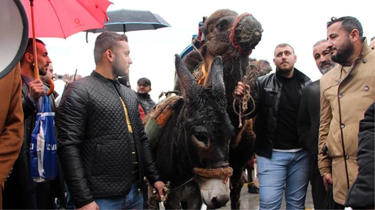 Aşı karşıtlarından develi ve eşekli PCR testi zorunluluğu protestosu