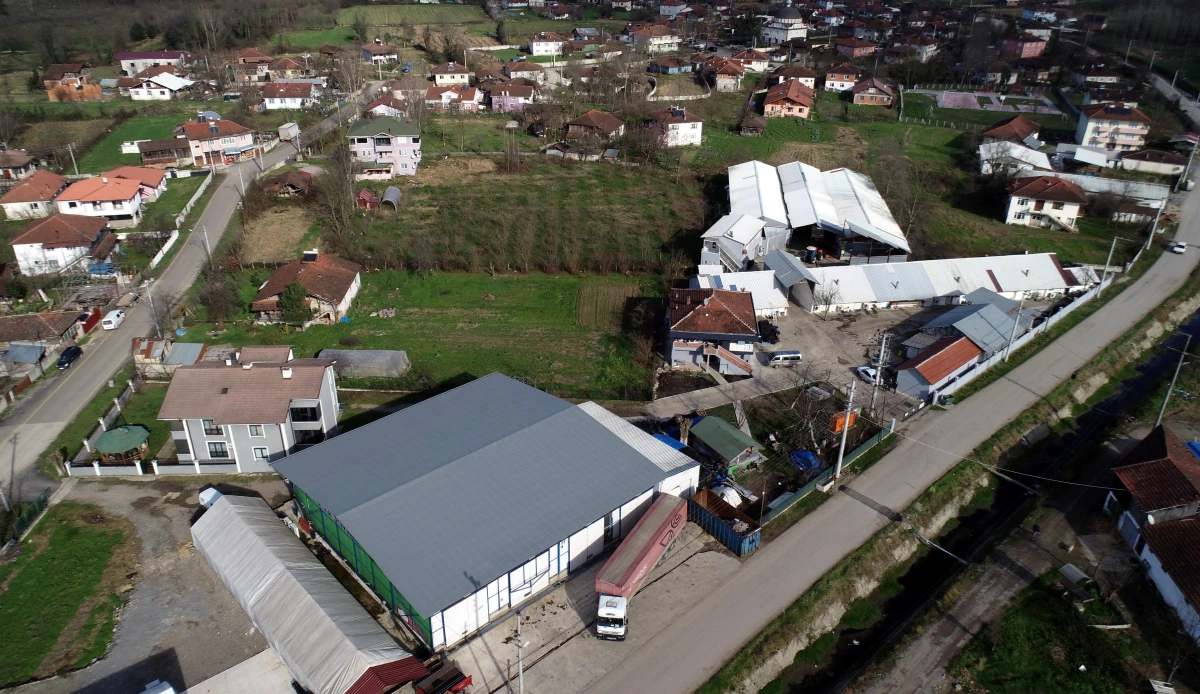 Düzceli girişimci devlet desteğiyle açtığı mantar üretim tesisinde 35 kişiye istihdam sağladı