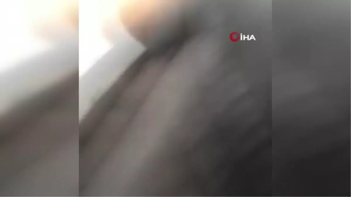 Son dakika haber | Lübnan\'da Hamas ve El Fetih arasında silahlı çatışma: 3 ölü, 10 yaralı