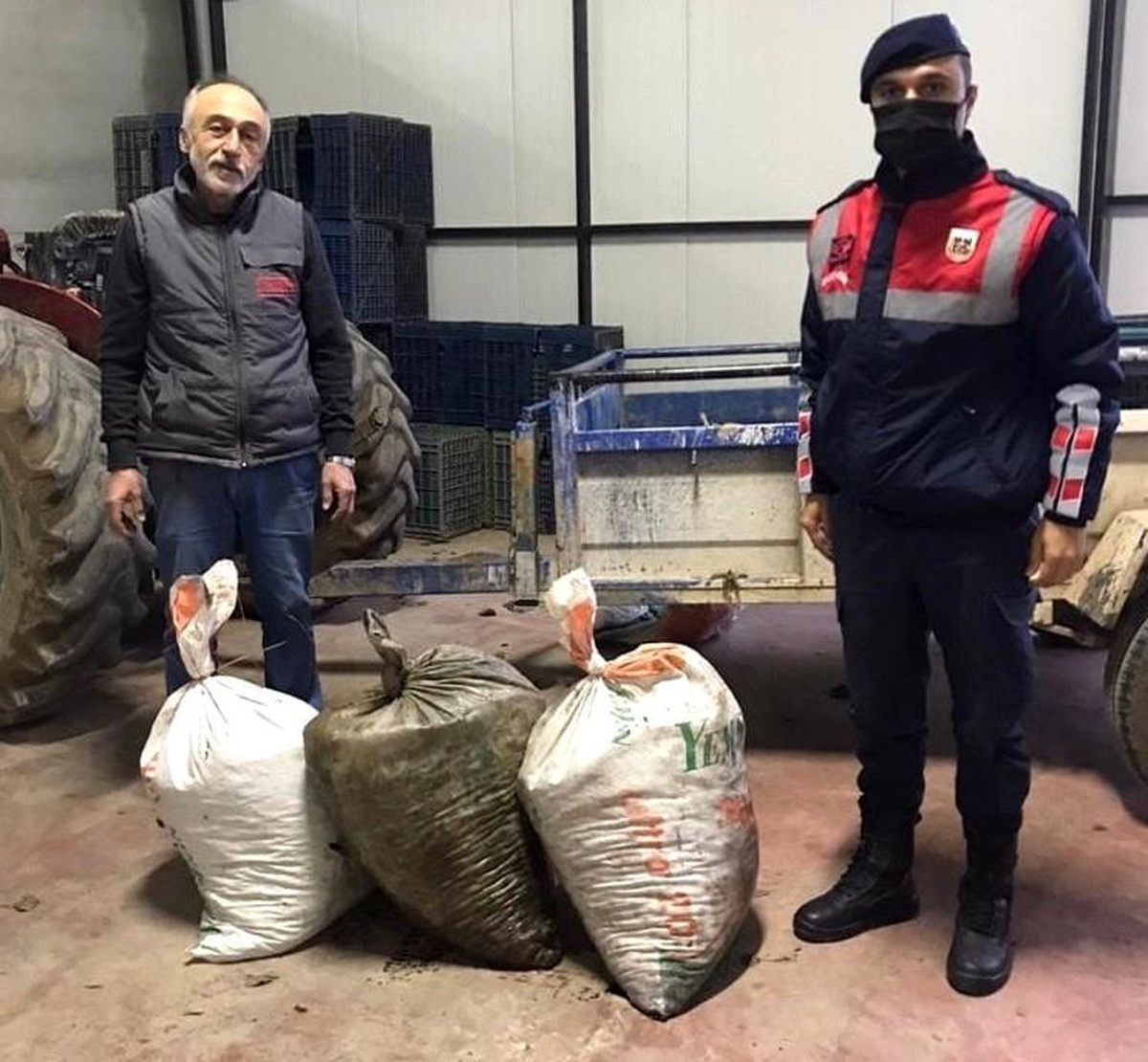 Topladıkları zeytinleri çuvala koyup kaçarken yakalandılar