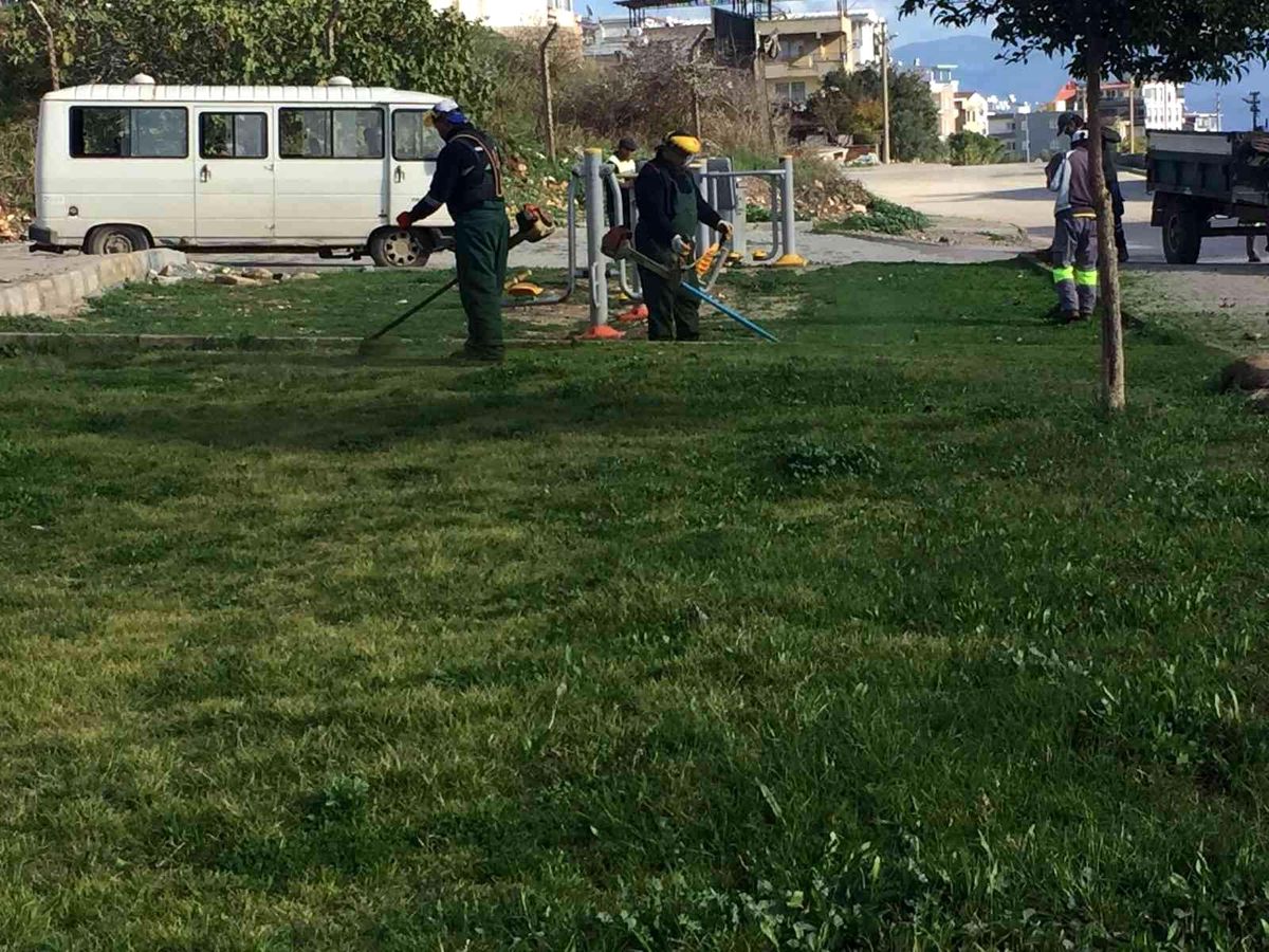 Didim\'de yeşil alanların bakımı sürüyor