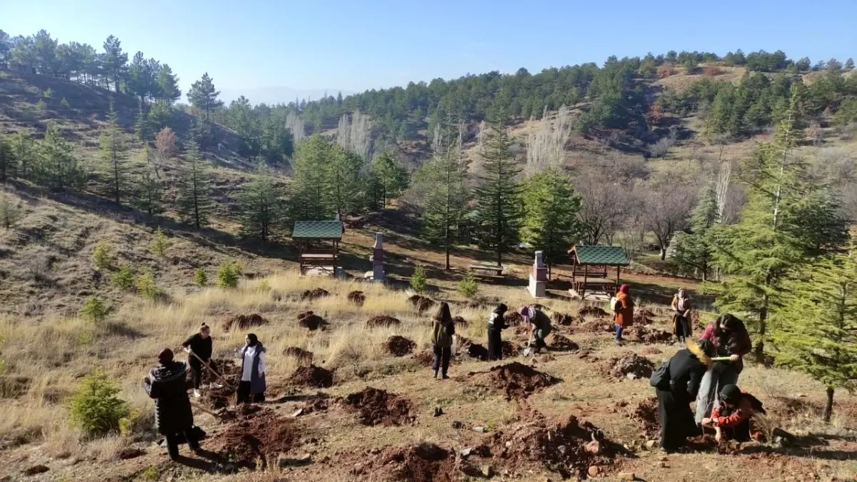 Gençler yüzlerce fidanı toprakla buluşturdu