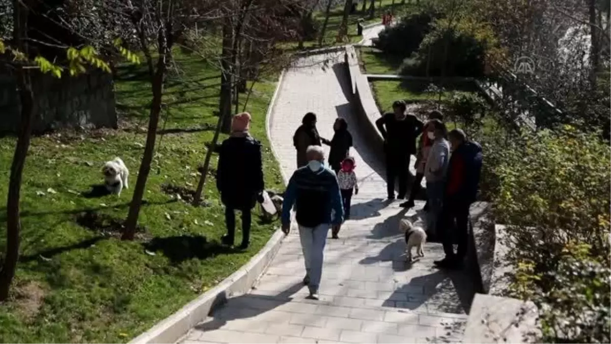 İran'da hayvanseverler evde kedi ve köpek bakımını yasaklayan yasa tasarısına tepkili