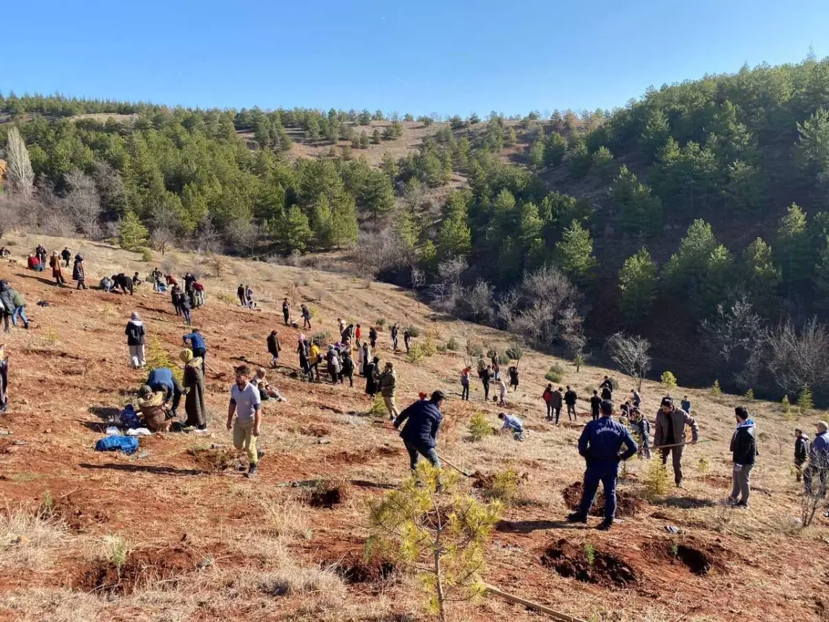 Kırıkkale Belediyesi Gençlik Merkezi üyeleri fidan dikti