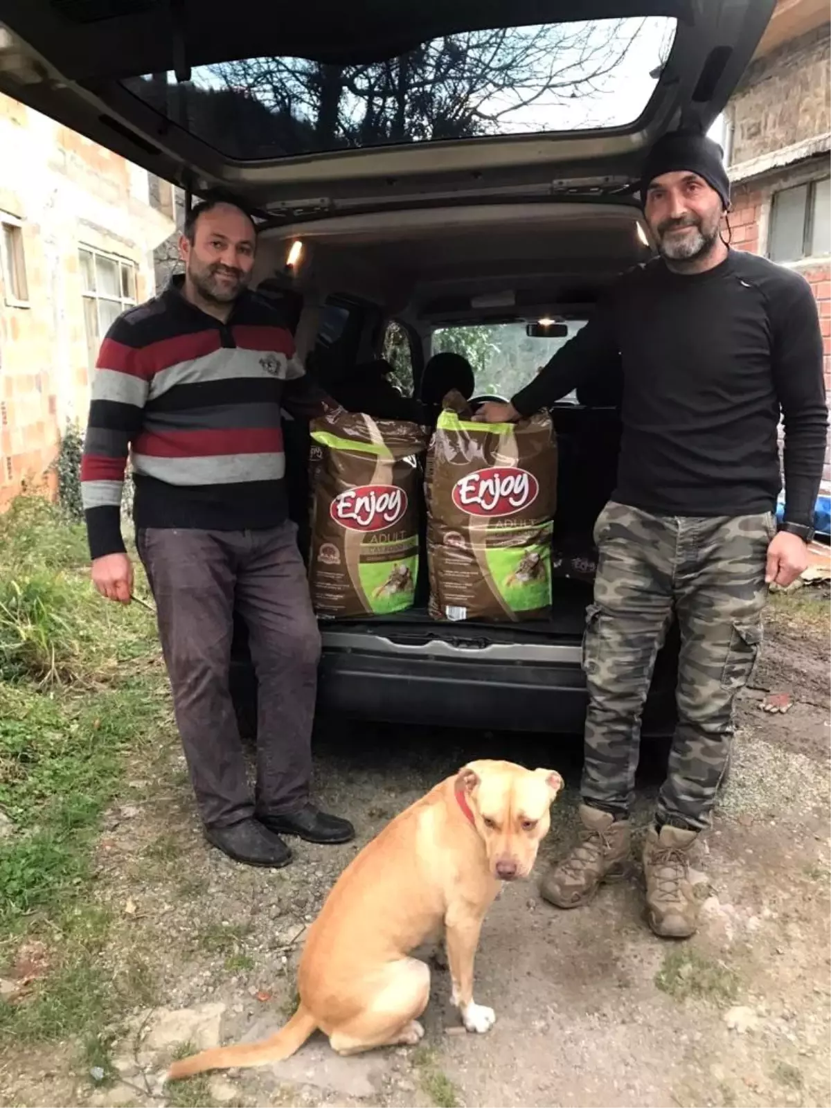 Köyündeki sokak kedileri için kampanya başlattı, 12 bin TL topladı