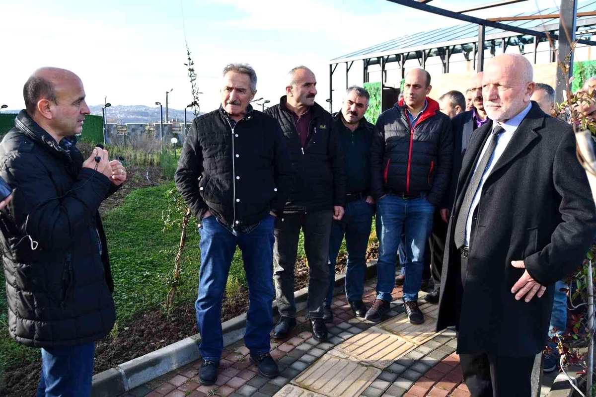 Oral: "Bizim sevdamız Altınova"