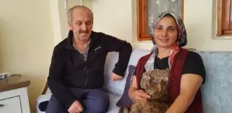 Son dakika haberi... Yorgan arasında çamaşır makinesine konulan kediyi itfaiye kurtardı (2)