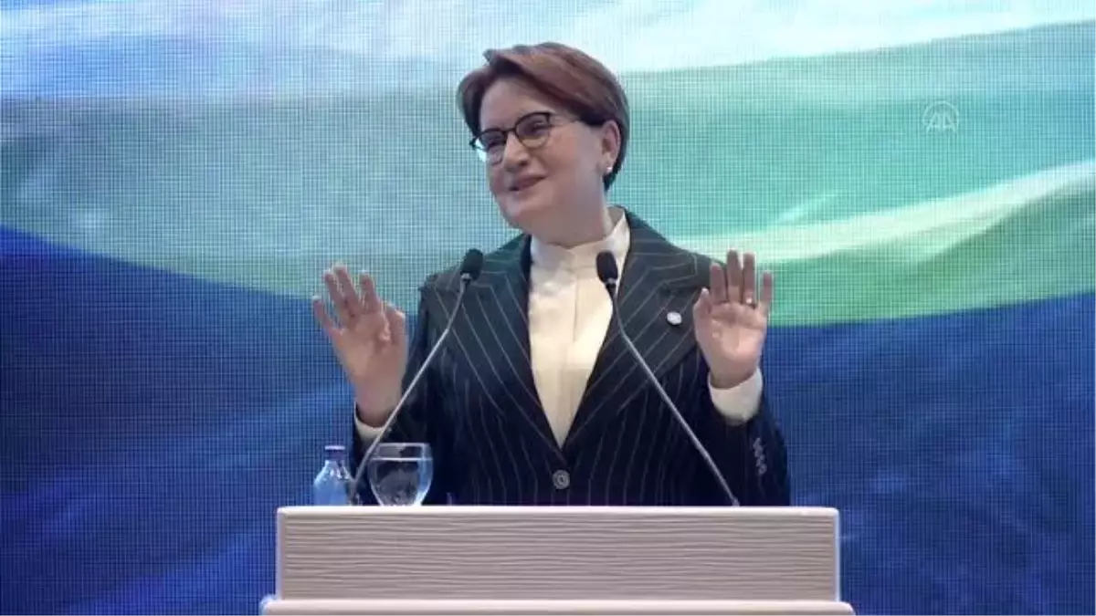 Akşener: "Herkesi Doğu Türkistan konusunda suskunluğunu bozmaya çağırıyorum"