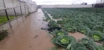 Biga'da sağanak günlük yaşamı olumsuz etkiledi; seraları sular altında bıraktı