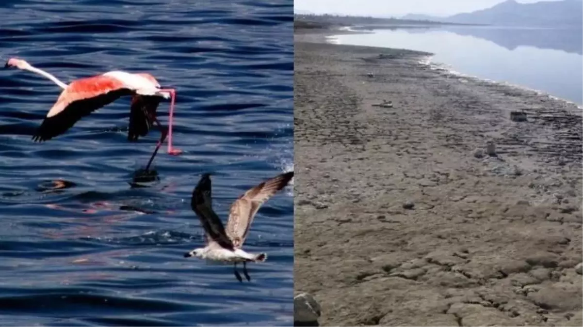 Burdur Gölü alarm veriyor! Kuraklık kritik seviyeyi geçti