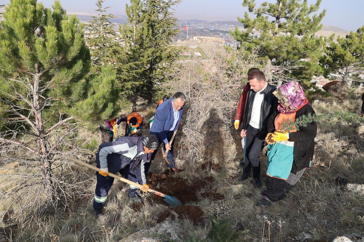 Daha yeşil bir Nevşehir için 10 bin fidan dikimi sürüyor