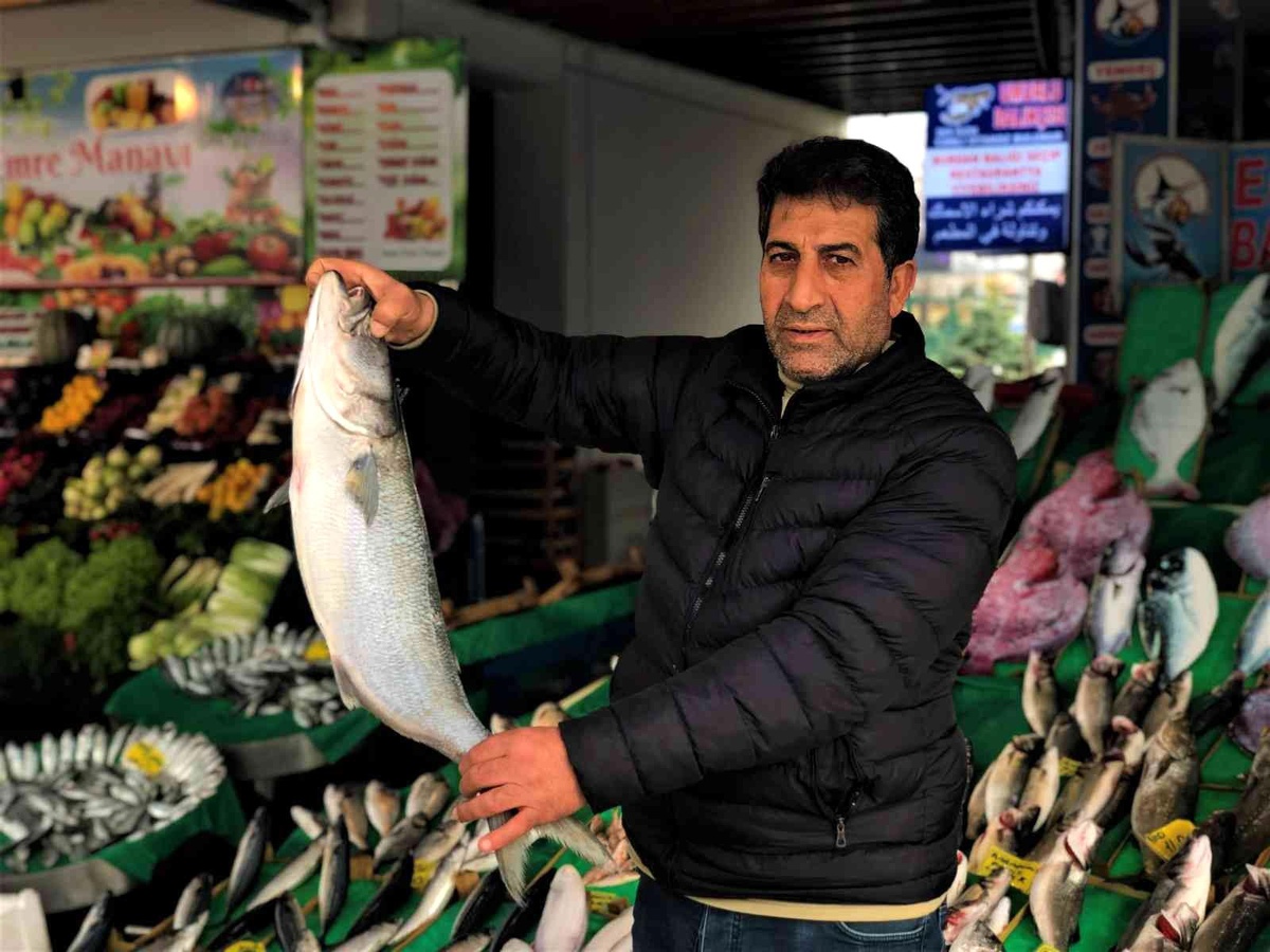 Tezgahlarda kofana bolluğu yaşanıyor