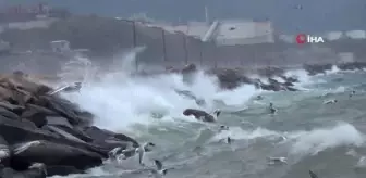 Bandırma'da etkili olan fırtına deniz ulaşımını olumsuz etkiliyor