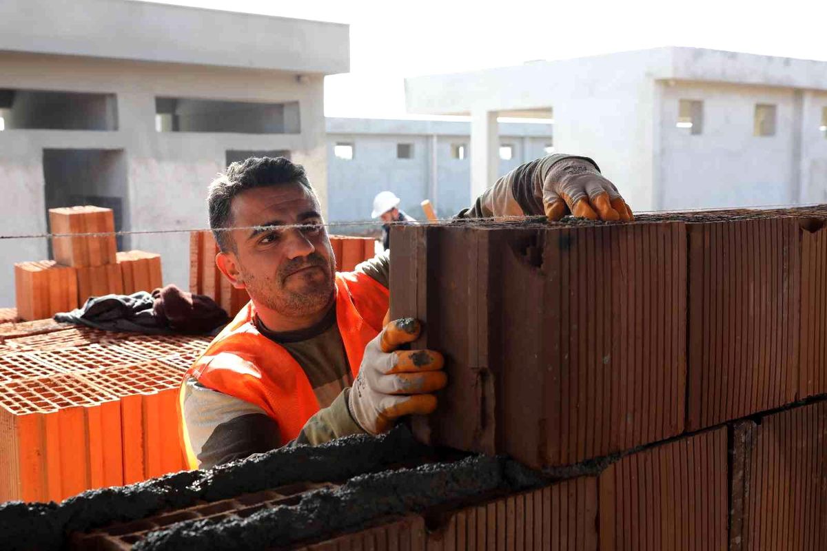 Büyükşehirden 2 bin sokak hayvanına bakım evi