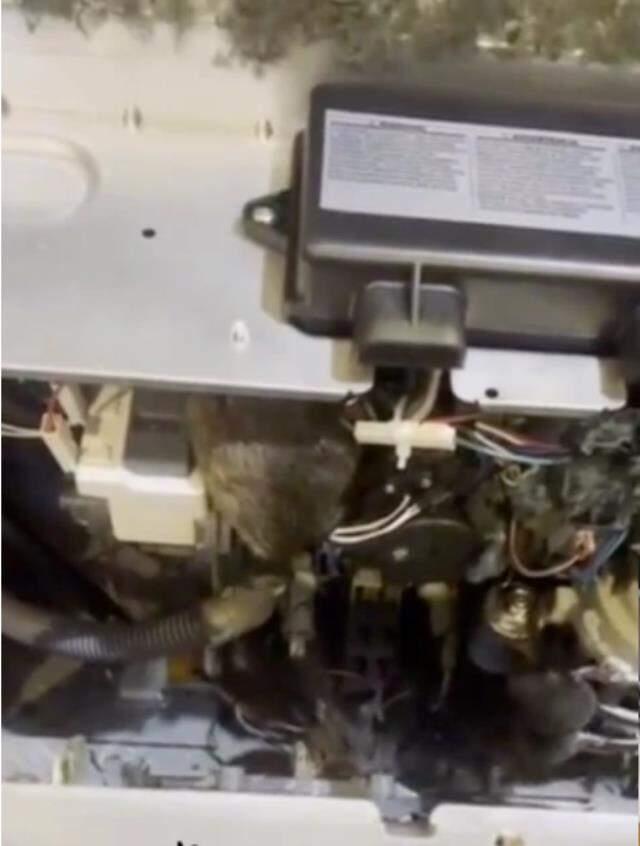 Çalışmayan bulaşık makinesini açan aile, gördüğü manzara karşısında hüngür hüngür ağladı Çalışmayan bulaşık makinesini açan aile, gördüğü manzara karşısında hüngür hüngür ağladı