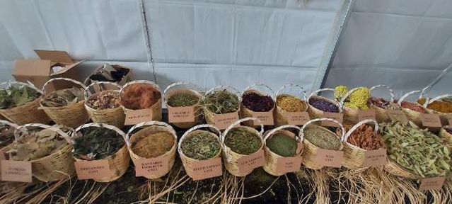 Dünya Çay Günü'nde vatandaşlara 73 çeşit çay ikram edildi