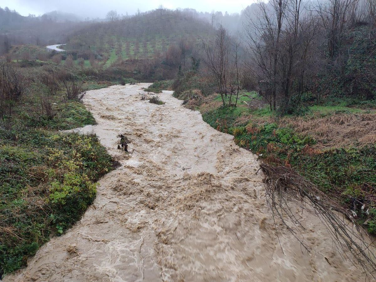 Sakarya\'da sağanak nedeniyle dereler taştı