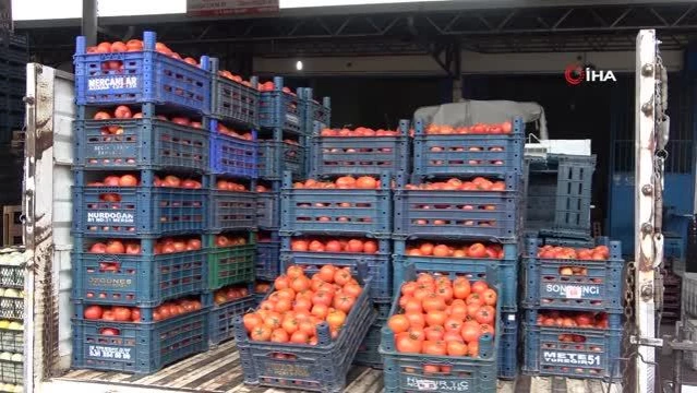 Şen: Tarım sektörü, serbest piyasa ekonomisinin dışında planlanmalı 