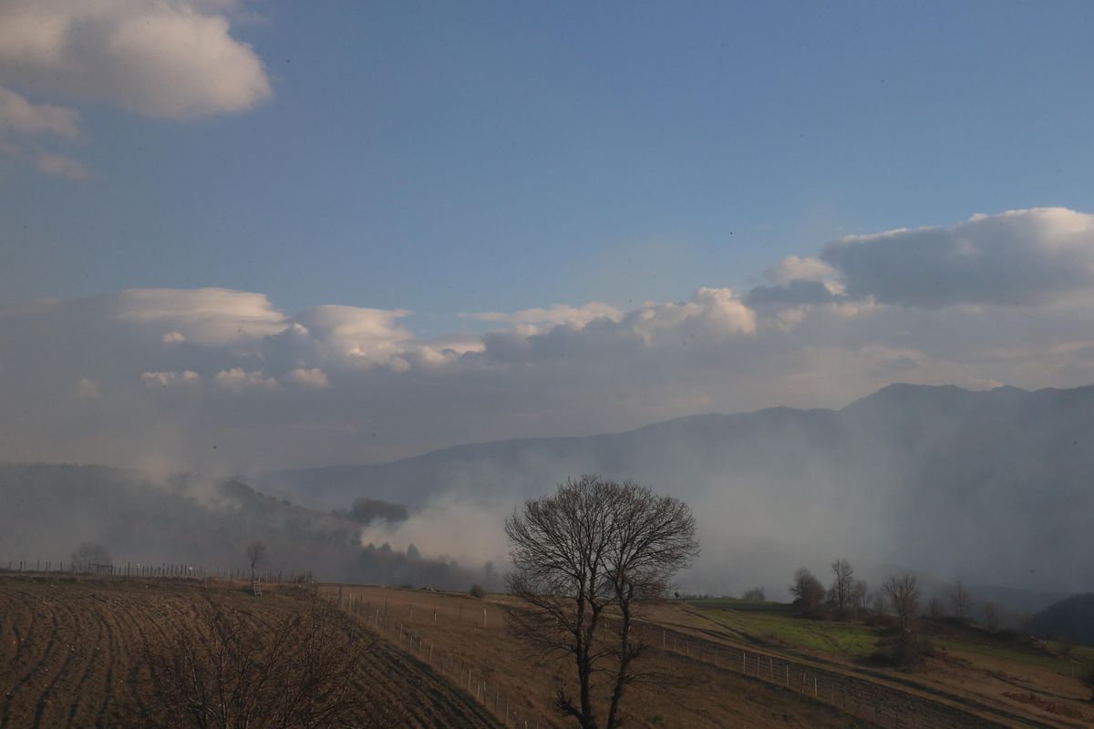Son dakika haberi... Orman yangını söndürüldü
