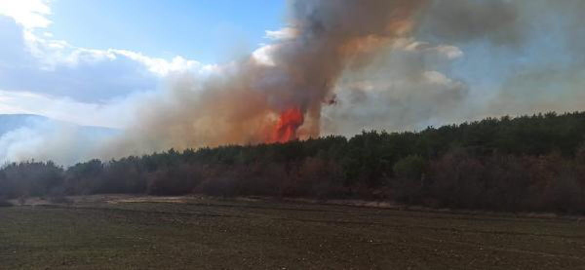 Tokat'ta orman yangını (1)