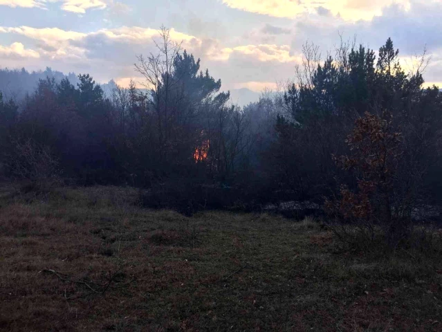 Tokat'ta orman yangını, bölgeye itfaiye ekipleri sevk edildi