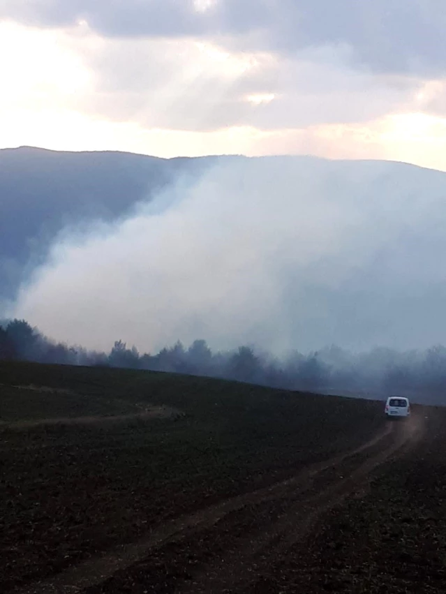 Tokat'ta orman yangını, bölgeye itfaiye ekipleri sevk edildi