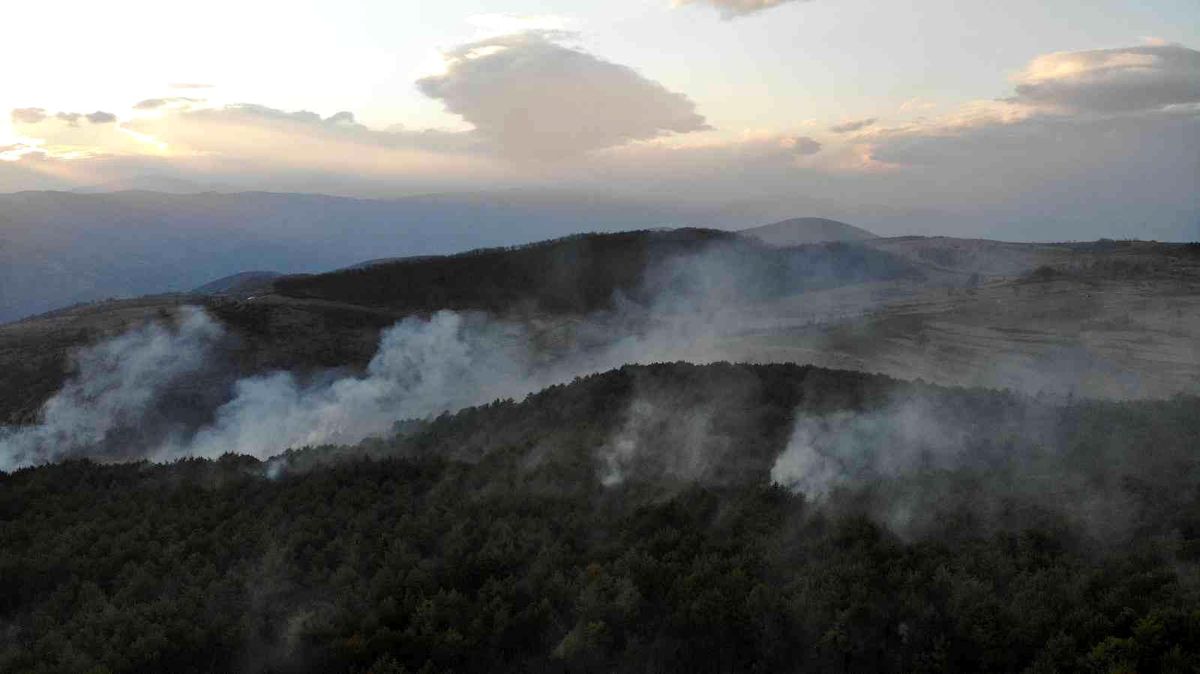 Son dakika: Tokat'ta orman yangını kontrol altına alındı