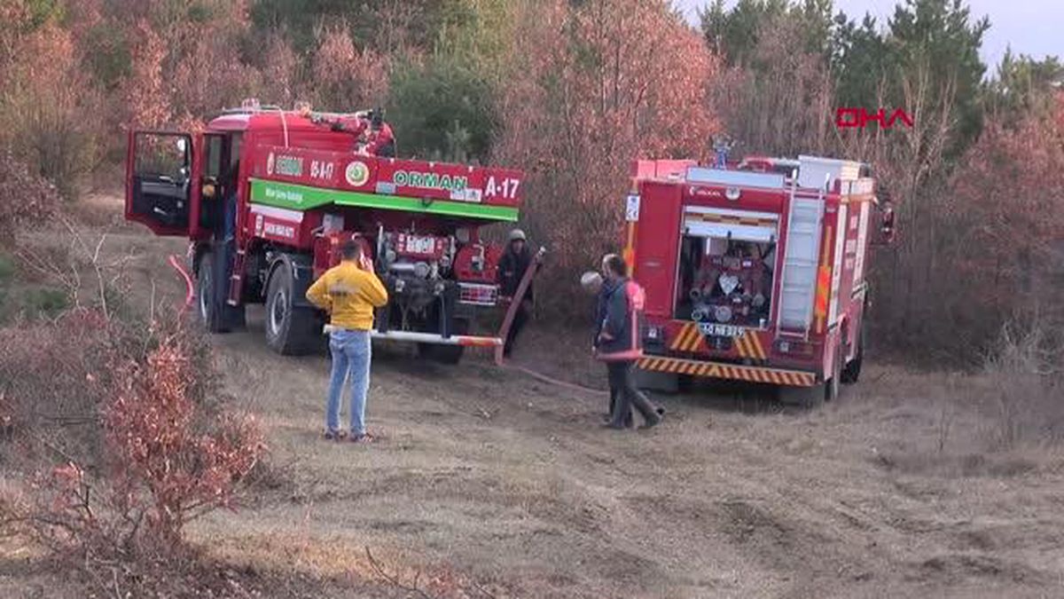 Son dakika! TOKAT'TA YANGIN SÖNDÜRME ÇALIŞMALARI SÜRÜYOR -