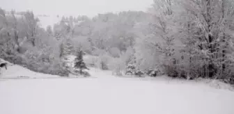 Abant Tabiat Parkı'nda kar yağışı etkili oluyor