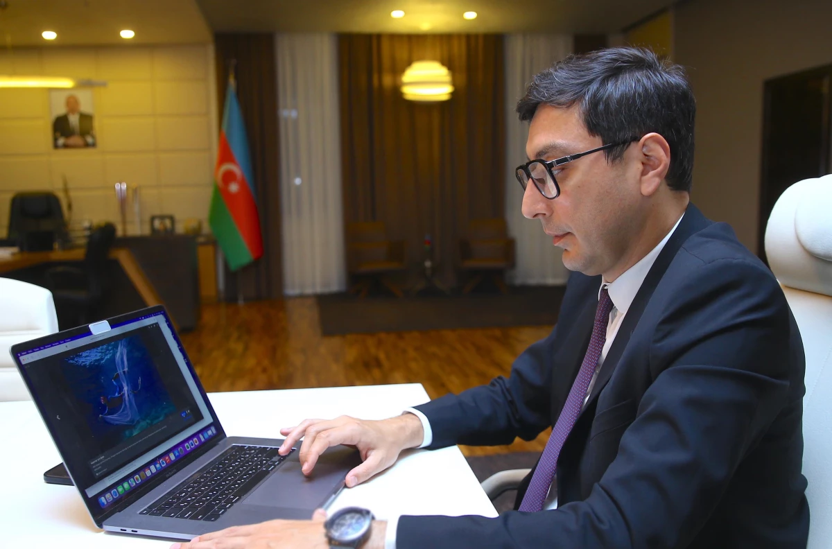 Son dakika haberi! Azerbaycan Gençlik ve Spor Bakanı Gayıbov AA\'nın "Yılın Fotoğrafları" oylamasına katıldı