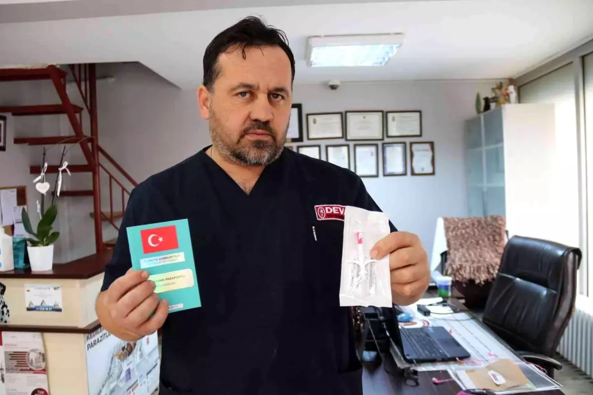 Bu köpek ırklarına sahip olanlar dikkat: Cezası 11 bin TL