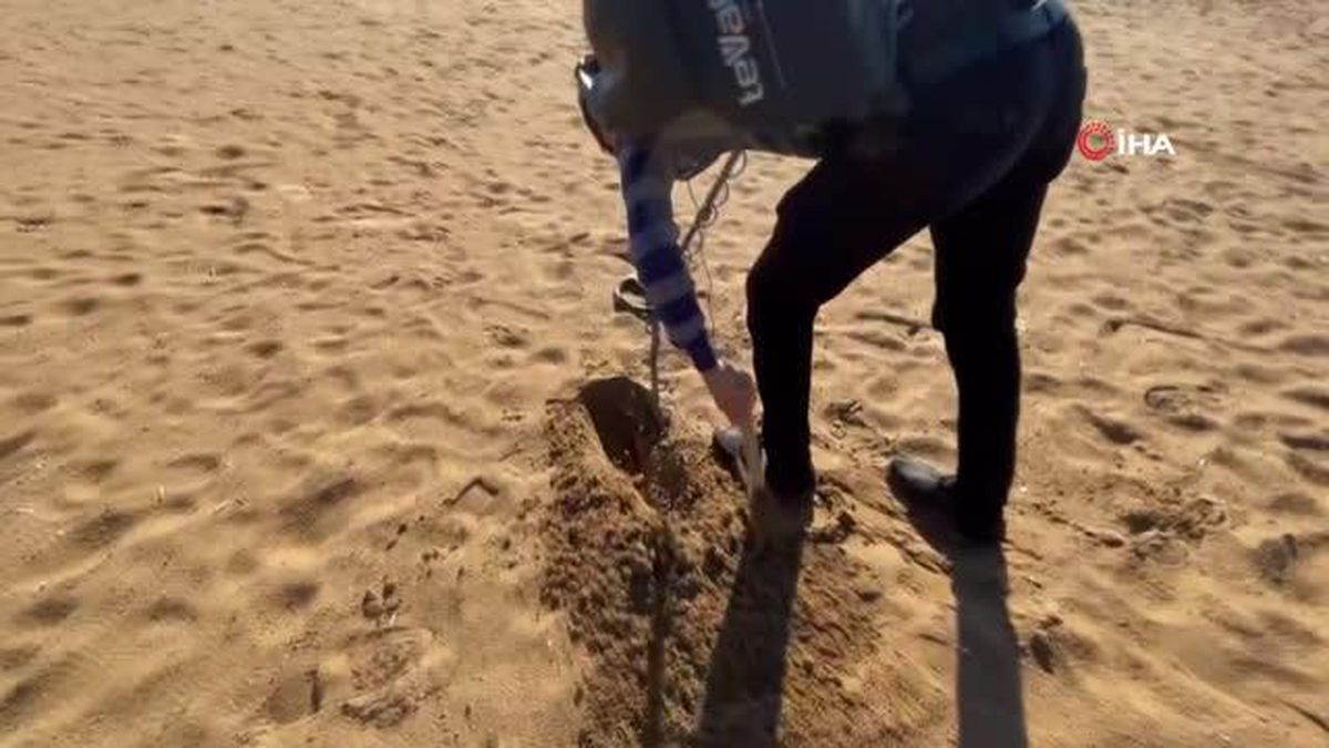 Define avcıları dedektörle değerli eşya aramaya başladı