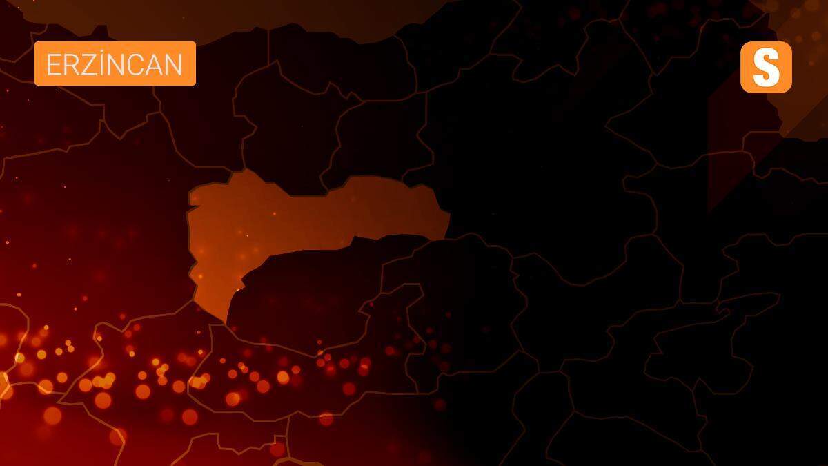 Erzincan\'da kadınları fuhşa zorladıkları öne sürülen 2 kişi yakalandı