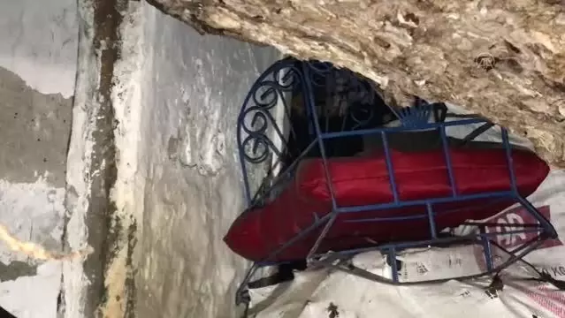 İki evin üzerine devrilen ağaç hasara yol açtı