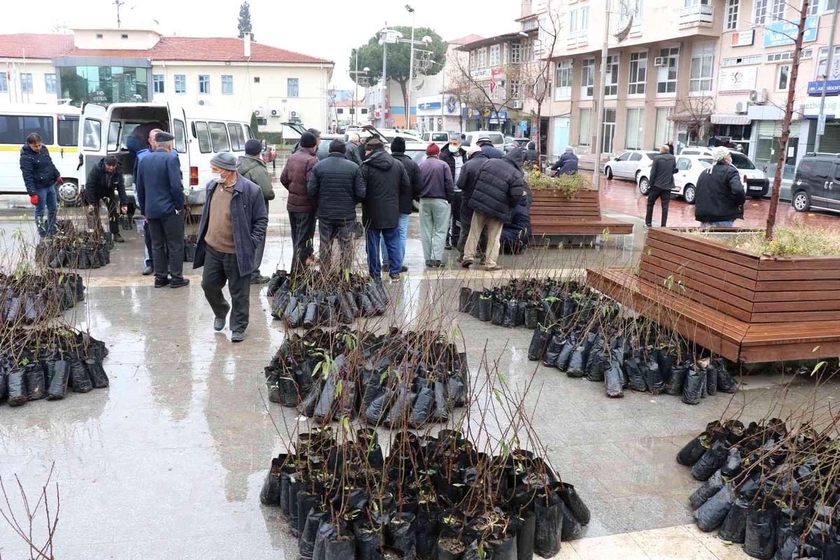 Manisa Büyükşehir Belediyesinden üreticiye fidan desteği
