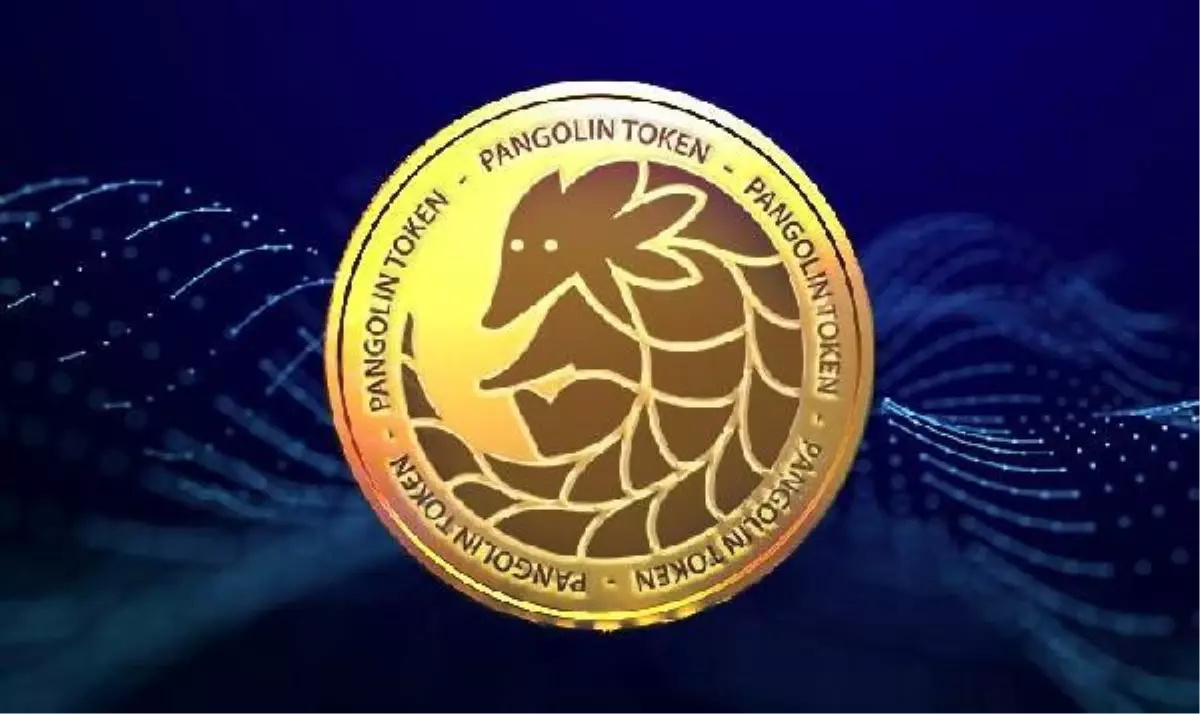 Merkeziyetsiz borsa Pangolin Türkiye\'de listelendi