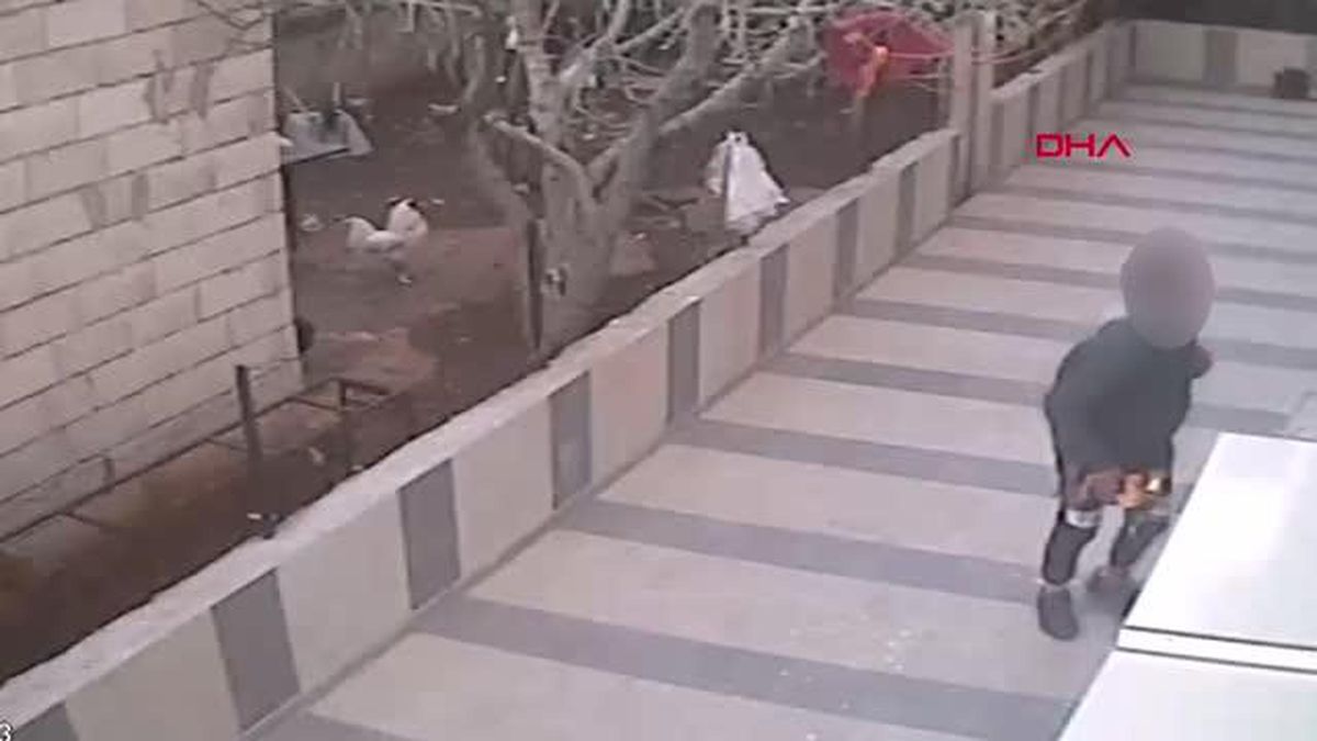 MERSİN\'DE HIRSIZLIK OLAYLARI AYDINLATILIYOR