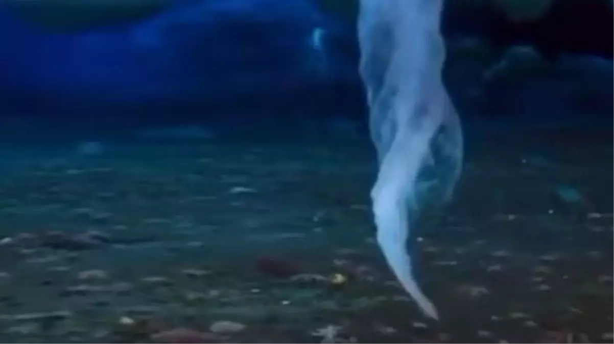 'Ölüm parmağını' ilk defa göreceksiniz! Temas ettiği her şeyi kaskatı kesiyor